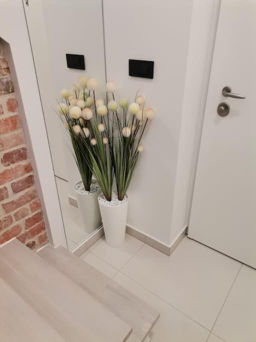 Studio Apartman Lenox غييكا المظهر الخارجي الصورة